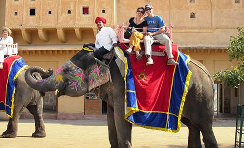 ICDF Jaipur Tour:Elephant Ride
